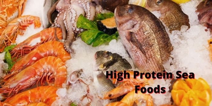 high protein sea foods for weight loss