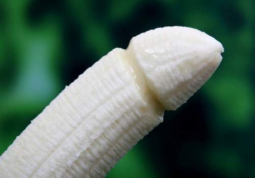penis erection