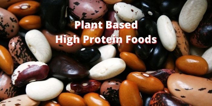plant based high protein foods for weight loss